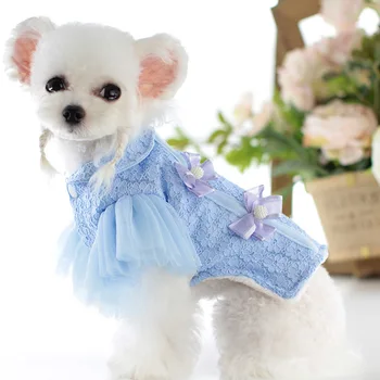 Rózsaszín, Kék Színek, Meleg Pet Ruhák 2021 Őszi-Téli Roupa Pet Csipke Díszítés Pamut-Párnázott Ruhát Kutyája Termékek